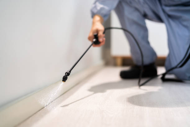 Licensed Ant Control service in La Crosse, KS - Nex Pest Control