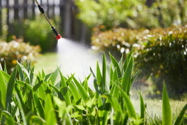 24/7 Emergency Ant Control experts in La Crosse, KS