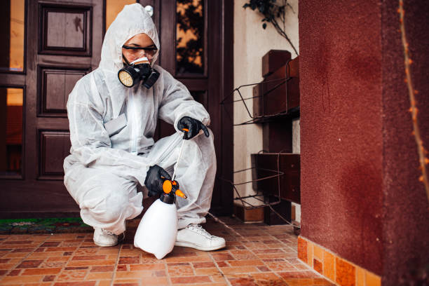 Reliable Ant Control contractor in La Crosse, KS by Nex Pest Control