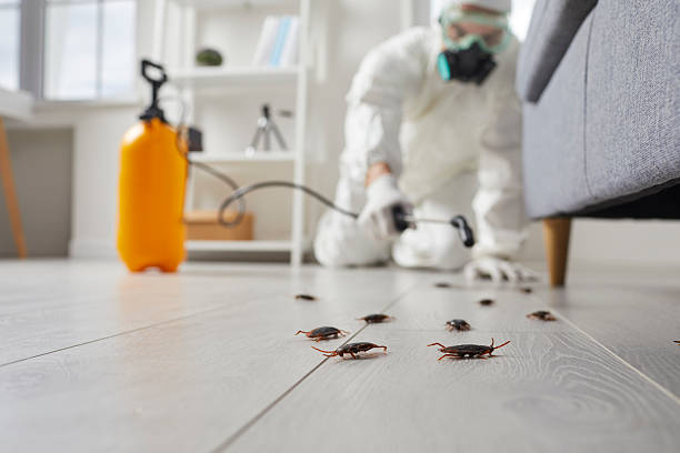 Trusted Termite Control service in La Crosse, KS - Nex Pest Control